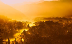 sunrise, morning, sunlight, indonesia, mountains, silhouettes, landscape, scenic, fog, haze, mist, forest, trees, woods, jungle, wilderness, valley, nature