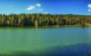 lake felixer, scenic, italy, forest, trees, woods, lake, water, panorama, summer, nature
