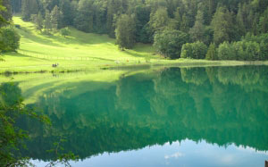 озеро, вода, лето, долина, холм, лес, деревья, размышления, сельская местность, природа, мирный, спокойствие, пейзаж