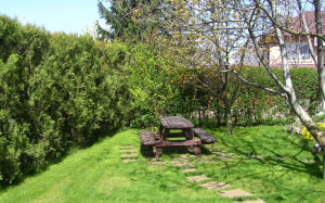 сад, стол для пикника, отдых, скамейка в саду