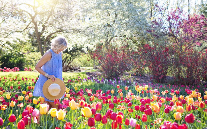 spring, tulips, pretty woman, female, flowers, springtime, nature, happiness, sunny, sunshine, happy, garden, blossoming, blooming