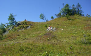 picnic, feldberg, hiking, nature, landscape, hill