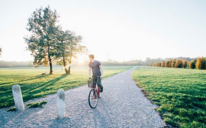 bike, cyclist, daylight, landscape, man, nature, outdoors, park, pathway, person, road, sky, trees, trip, morning, 