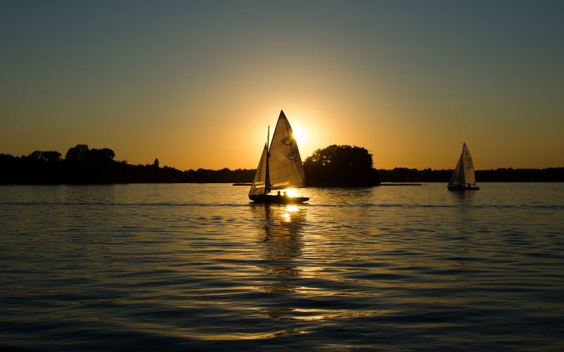 sailing boats, calm, evening, sunset, vacation, sailboats, water, sea, sky, lake, landscape, nature