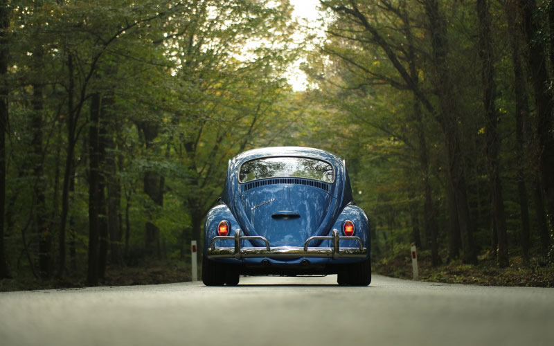 woods, blue, car, classic car, forest, outdoors, road, travel, trees, vehicle, vintage, volkswagen, volkswagen beetle, back