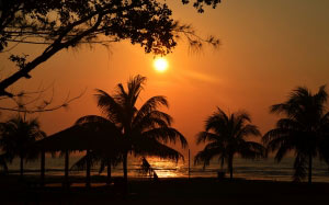 sunset, palms, sea, beach, ocean, paradise, travel, vacation, evening, sun, tropical, nature, water, coast, summer, relaxation, resort, landscape, shore, sky, coconut, leisure, orange