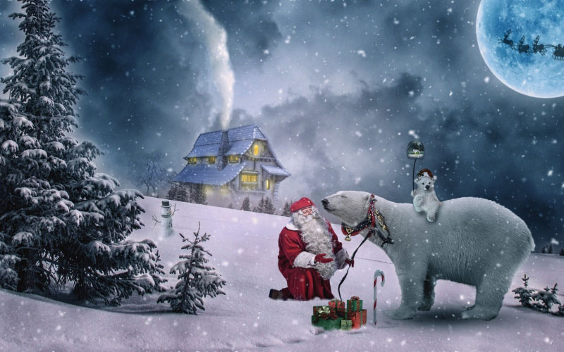 christmas, xmas, winter, santa claus, polar bear, gift, snow, cold, house, tree, night