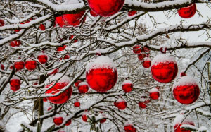 новый год, зима, деревья, снег, шарики, красные, новогодние украшения, адвент, ёлочные шары, украшение, рождество, праздник