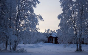 холодный, морозный, замороженный, дом, лед, ледяной, пейзаж, природа, сезон, снег, сугроб, деревья, зима, лес, хижина
