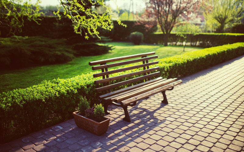 bench, flora, flowers, footpath, garden, grass, green, guidance, hedge, lawn, outdoors, park, path, seat, spring, trees, wood