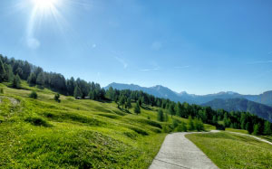 summer, spring, sun, sky, nature, landscape, trees, path, trail, hiking, trekking, blue, mountains, green