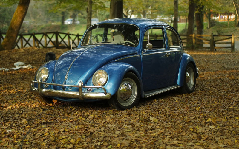 car, vintage, park, leaves, autumn, classic, oldtimer, beetle, volkswagen, vw, auto, vehicle, fall, foliage