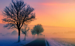 утро, зима, туман, рассвет, закат, природа, пейзаж, бегун, дорога, прочь, путь, деревья, сумерки, вечер, холод, снег, небо