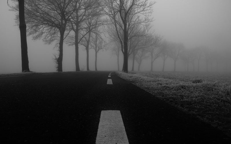 winter, frost, fog, road, asphalt, cold, dark, misty, grass, trees, pavement, black and white