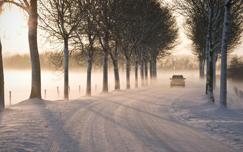 landscape, nature, car, road, fog, frost, cold, sunset, snow, trees, december