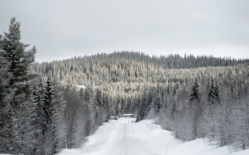 winter landscape, sweden, nature, road, forest, snow, trees
