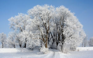 природа, пейзаж, зима, снег, белый, дорога, голубое небо, деревья, день