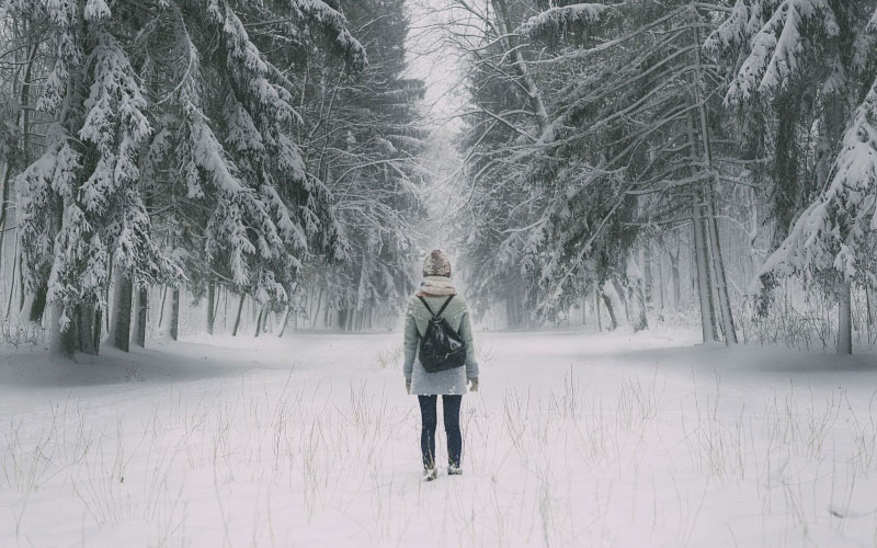 зима, девушка, мужчина, лес, деревья, снег, спина, девочка