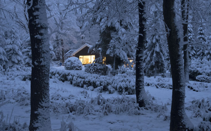 snow, winter, woods, forest, trees, landscape, nature, evening, house, lights, window, warmth, home, christmas, christmastime, xmas