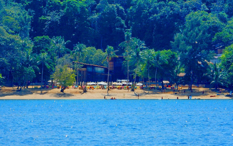 paradise, beach, patong, december, summer, blue, water, sea, ocean, palms, green, sunny, sand, nature, landscape, resort, vacation, relax