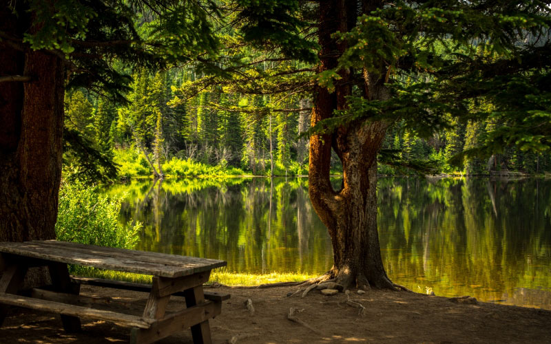 forest, nature, bench, lake, park, recreational area, fall, landscape, light, outdoors, water, scenic, summer, trees, wood