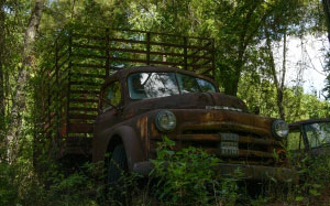 dodge, truck, 1940th, old, car, auto, rusty, abandoned, garbage
