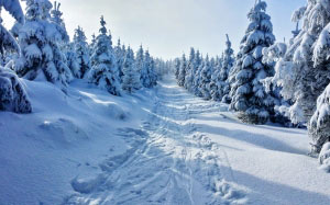 зима, горы, снег, вид, деревья, белый, синий, чешский, походные тропы, солнце, мороз, природа, тропа, небо, лес
