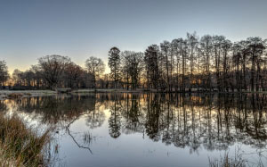february, nature, landscape, winter, evening, lake, pond