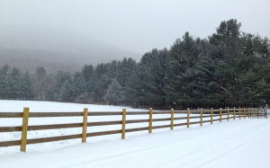 nature, snow, white, winter, fence, rural, farm, nature, farmland, landscape