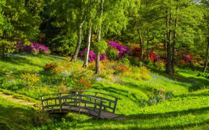 мост, парк, природа, зеленый, трава, лето, пейзаж, красочные, цветы