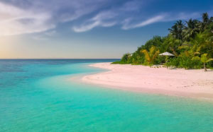 beach, coast, coconut trees, hot, island, leisure, nature, ocean, palm trees, recreation, relaxation, sand, scenic, sea, seascape, seashore, seaside, summer, tropical, vacation
