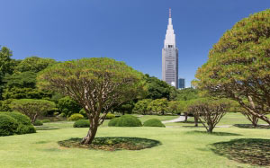 shinjuku gyoen national garden, ntt docomo yoyogi building, sunny day, blue sky, tokyo, japan, city, landscape, park, trees