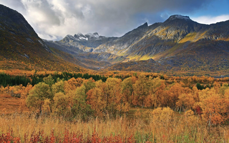 autumn, view, gullesfjordbotn, troms, norway, september, landscape, mountains, forest, nature