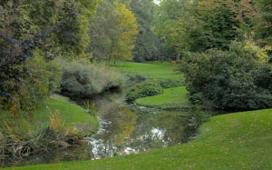autumn, schwetzingen palace, garden, park, green, nature, pond, grass, september
