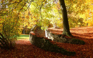 деревья, природа, лес, ветви, солнечные лучи, лист, осень, парк, развалины, время года, лестница, листва, замок, парк, камни, людвигслуст пархим
