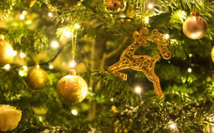 новогодняя елка, украшение, праздники, рождественский орнамент, рождественский бал, рождество, новый год, золото, время года, пихта, праздничный, праздники, сосна