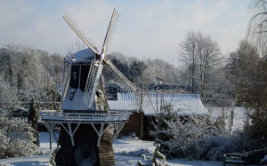 windmill de lelie, the lily, aalten, winter, snow, windmill