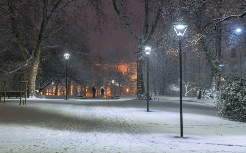 снег, ночь, город, улица, огни, парк, деревья, дорога, полночь, зима, вечер