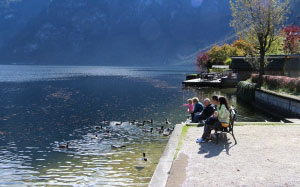 people, autumn, peaceful, calm, family time, nature, ducks, water, lake, hallstatt, austria, slow life, relaxing, morning breezes