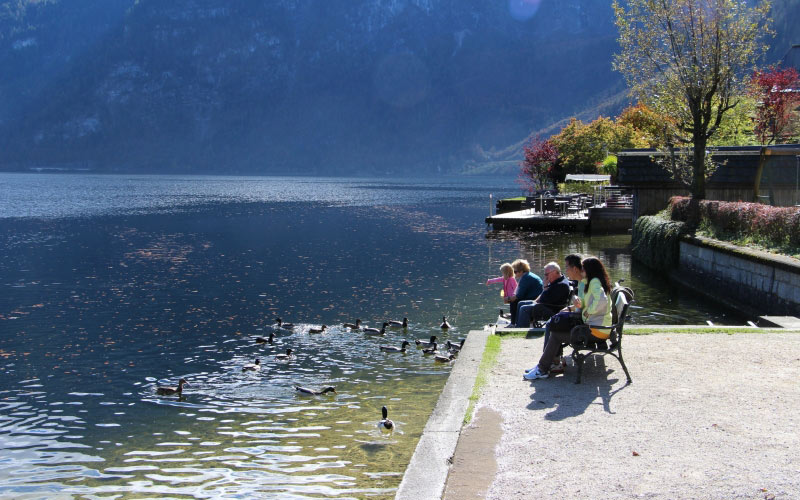 люди, осень, мирный, спокойный, семейный, природа, утки, вода, озеро, гальштат, австрия, спокойная жизнь, расслабляющий, утренний бриз