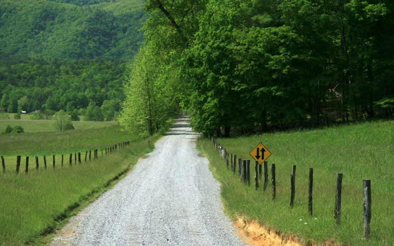 meadow, tennessee, road, countryside, fence, forest, woods, trees, field, nature, outside, summer, spring, green, mountain