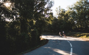 bikes, turn, fitness, travel, bike, sports, healthy lifestyle, trip, trees, transportation, road, nature, sunlight, way, forward, shadow, canine, outdoors, riding