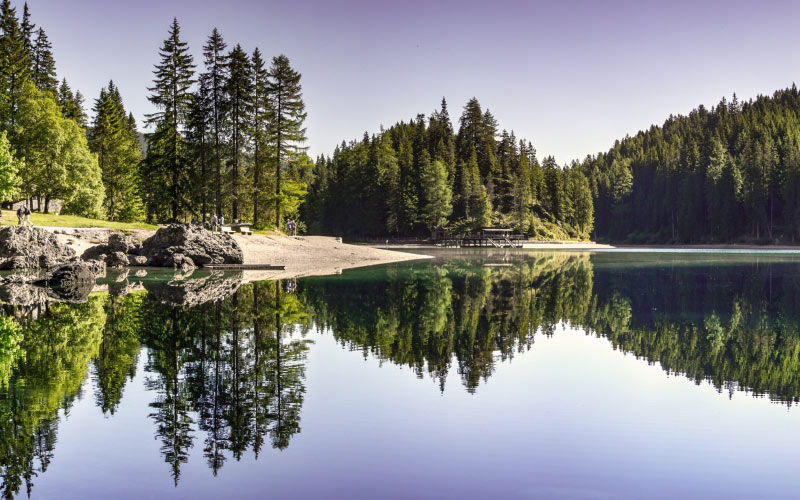 landscape, nature, water, summer, conifer, evergreen, forest, lake, lakeside, mirroring, mountain, outdoors, river, scenery, scenic, pine, woodland