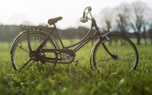 focus photography, brown, bicycle, grass field, shallow focus, byke, green, grass, nature