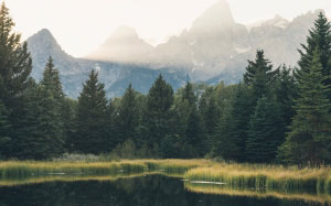landscape, lake, forest, mountains, wood, nature, summer
