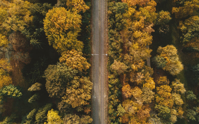 railway, autumn, forest, aerial, view, trees, fall, nature, yellow, outdoors