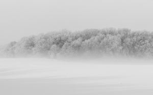 winter, forest, cold, dawn, fog, foggy, frost, frozen, haze, ice, landscape, mist, nature, outdoors, panorama, panoramic, road, scenic, season, snow, trees, weather, woodland, pine, evergreen, blizzard, coniferous