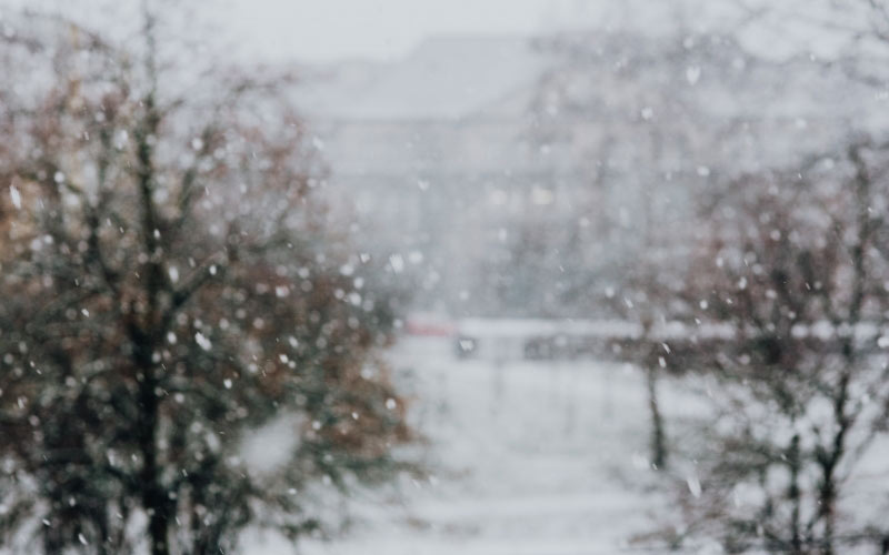 снежный, улица, белый, город, зима, снег, буря, метель, деревья, природа, день, на улице