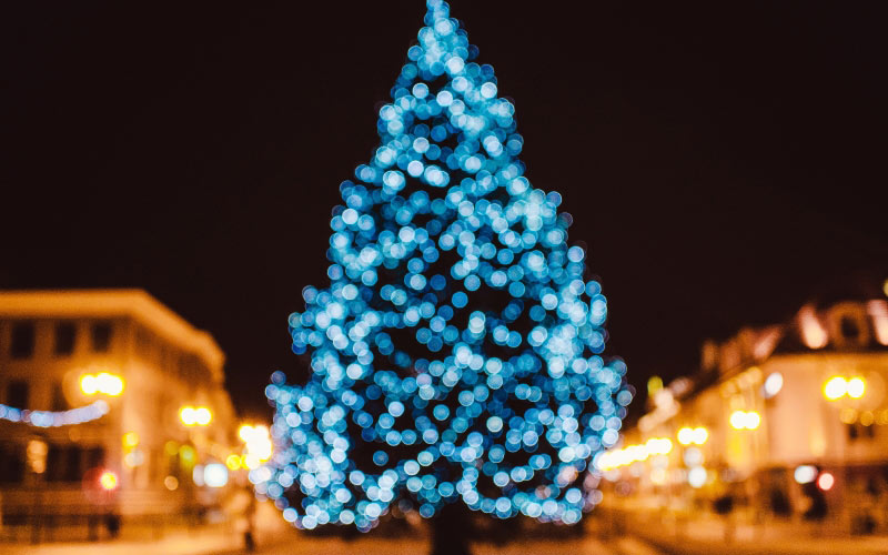 lighted, blue, christmas tree, lights, night, christmas, xmas, new year, street, city, blur