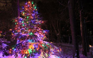 яркий, новогодние огни, рождество, новый год, праздник, свет, ночь, елка